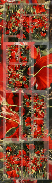 "poppy" scarf